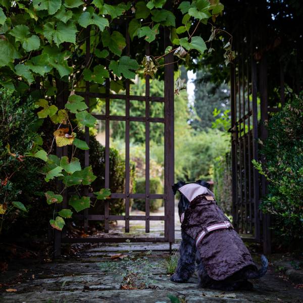 Bilde av Emma Firenze Reversibelt Dekken Mink& Power Rain